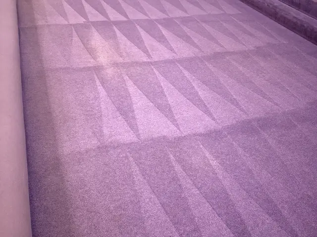 Fresh extraction lines on commercial carpet